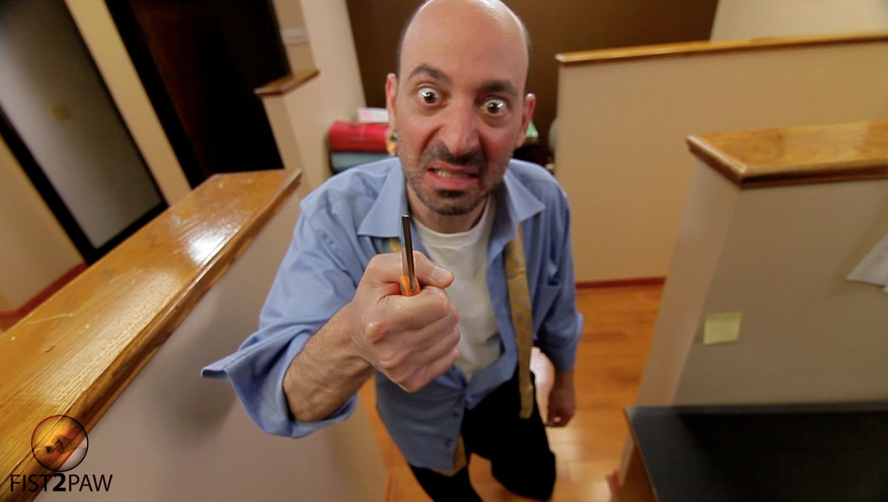 Jeff Blumberg in the sitcom pilot Standards and Practices